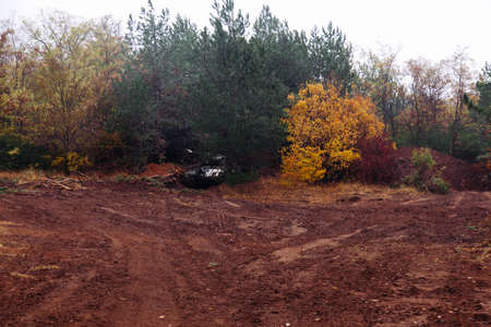 tank in the forestの写真素材