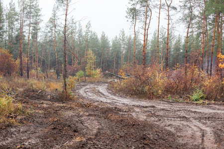 real battle tanks disguised in the trenches Donbass Ukraineの写真素材