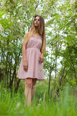 sexual girl has dissolved long hair sunny in the afternoon opposite blossoming white acaciaの写真素材