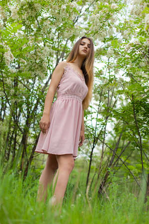 sexual girl has dissolved long hair sunny in the afternoon opposite blossoming white acaciaの写真素材