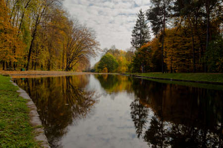 yellow leaves autumn Ukraine Uman Sophia Parkの写真素材