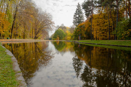 yellow leaves autumn Ukraine Uman Sophia Parkの写真素材