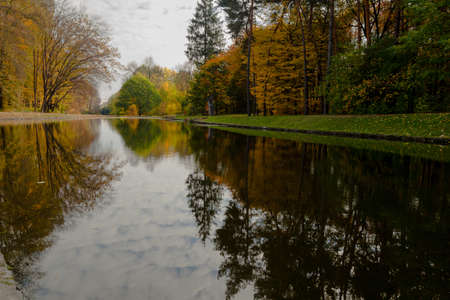 yellow leaves autumn Ukraine Uman Sophia Parkの写真素材