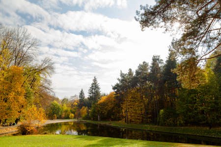 yellow leaves autumn Ukraine Uman Sophia Parkの写真素材