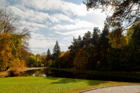 yellow leaves autumn Ukraine Uman Sophia Parkの写真素材