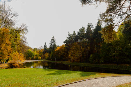 yellow leaves autumn Ukraine Uman Sophia Parkの写真素材