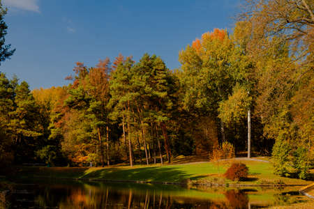 yellow leaves autumn Ukraine Uman Sophia Parkの写真素材