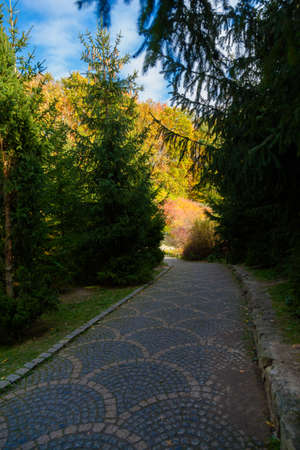 yellow leaves autumn Ukraine Uman Sophia Parkの写真素材