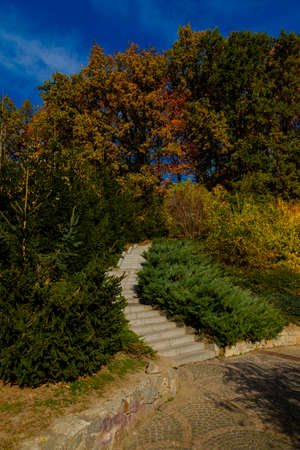 yellow leaves autumn Ukraine Uman Sophia Parkの写真素材
