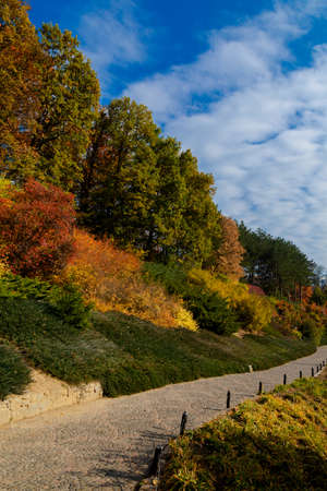 yellow leaves autumn Ukraine Uman Sophia Parkの写真素材