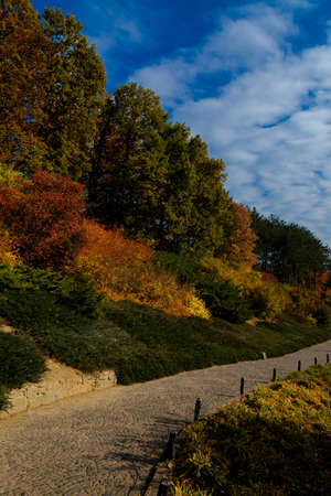 yellow leaves autumn Ukraine Uman Sophia Parkの写真素材