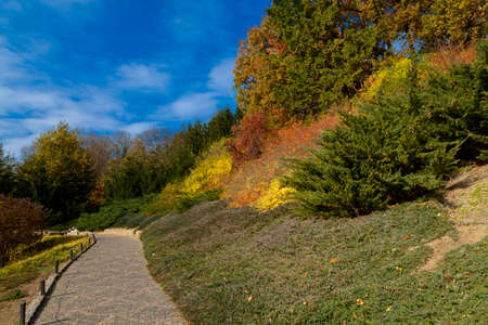 yellow leaves autumn Ukraine Uman Sophia Parkの写真素材
