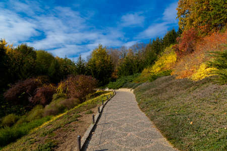 yellow leaves autumn Ukraine Uman Sophia Parkの写真素材