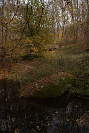 yellow leaves autumn Ukraine Uman Sophia Parkの写真素材