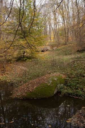 yellow leaves autumn Ukraine Uman Sophia Parkの写真素材