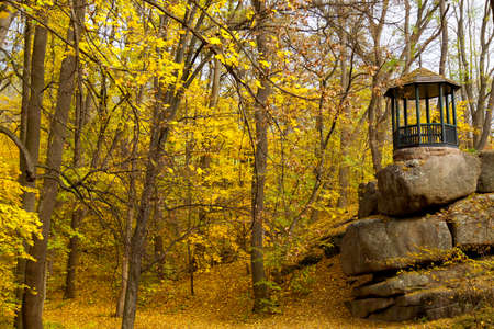 yellow leaves autumn Ukraine Uman Sophia Parkの写真素材