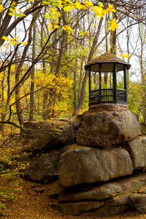 yellow leaves autumn Ukraine Uman Sophia Parkの写真素材