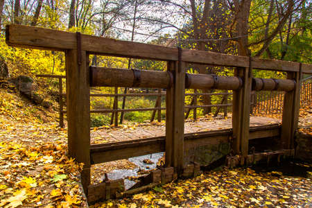 yellow leaves autumn Ukraine Uman Sophia Parkの写真素材
