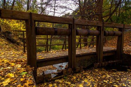 yellow leaves autumn Ukraine Uman Sophia Parkの写真素材
