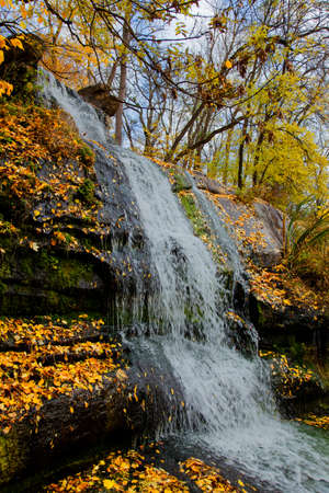 yellow leaves autumn Ukraine Uman Sophia Parkの写真素材
