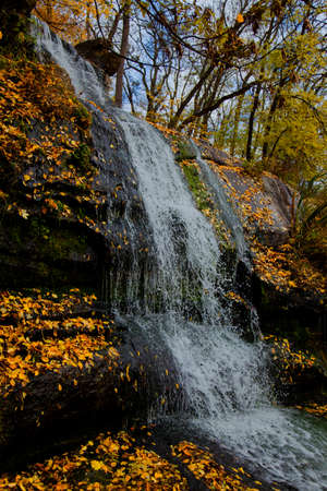 yellow leaves autumn Ukraine Uman Sophia Parkの写真素材
