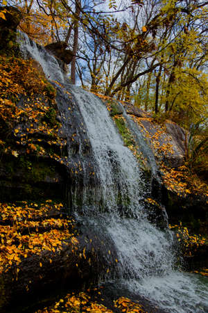 yellow leaves autumn Ukraine Uman Sophia Parkの写真素材