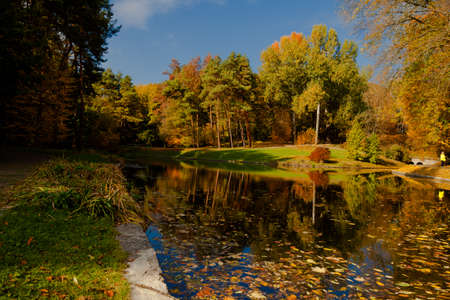 yellow leaves autumn Ukraine Uman Sophia Parkの写真素材