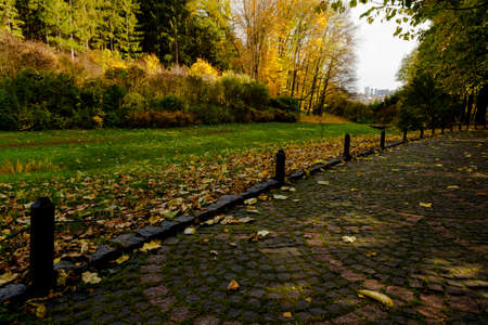 yellow leaves autumn Ukraine Uman Sophia Parkの写真素材