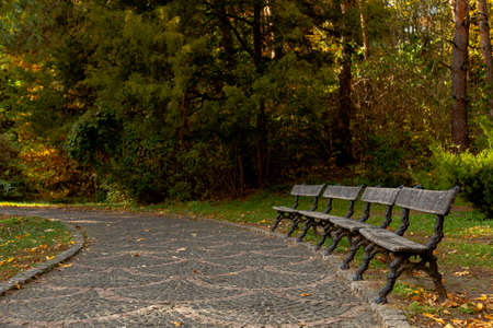 yellow leaves autumn Ukraine Uman Sophia Parkの写真素材