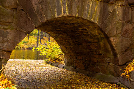 yellow leaves autumn Ukraine Uman Sophia Parkの写真素材