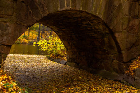 yellow leaves autumn Ukraine Uman Sophia Parkの写真素材