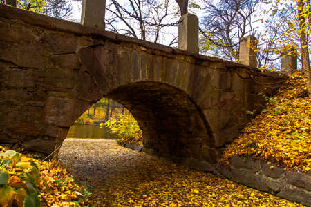 yellow leaves autumn Ukraine Uman Sophia Parkの写真素材