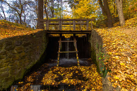 yellow leaves autumn Ukraine Uman Sophia Parkの写真素材