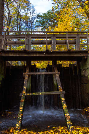 yellow leaves autumn Ukraine Uman Sophia Parkの写真素材