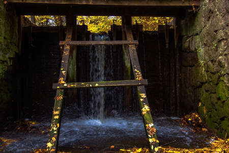 yellow leaves autumn Ukraine Uman Sophia Parkの写真素材