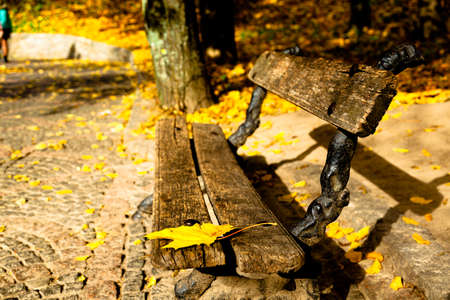 yellow leaves autumn Ukraine Uman Sophia Parkの写真素材