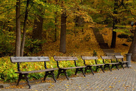 yellow leaves autumn Ukraine Uman Sophia Parkの写真素材