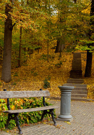 yellow leaves autumn Ukraine Uman Sophia Parkの写真素材
