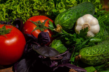set of greens for a summer diet saladの写真素材