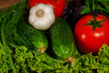 tomato, cucumber and greens for diet saladの写真素材