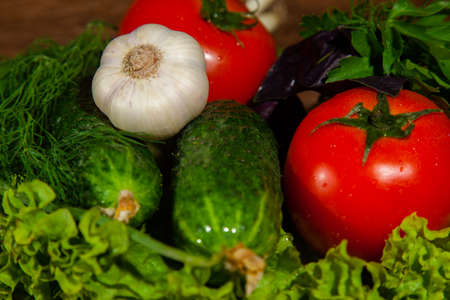 greens for diet saladの写真素材