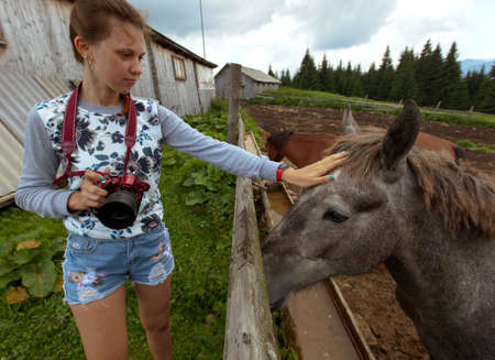 girl on a ranch in the mountains photographs a horseの写真素材