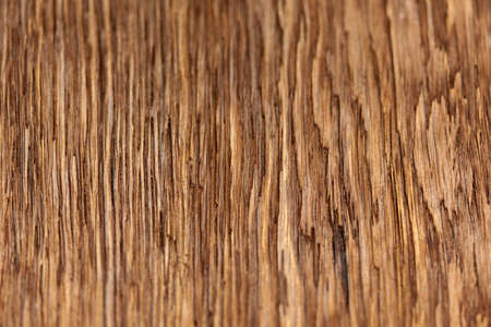 surface stained oak board as a background for creativityの写真素材