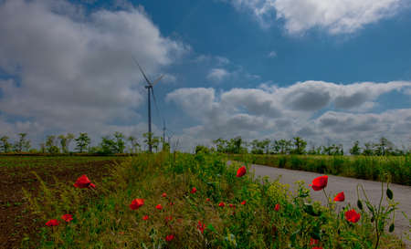 against the background of a blue sky with white clouds, a wind turbine generator and on the side of the road in a field red poppies are bloomingの写真素材