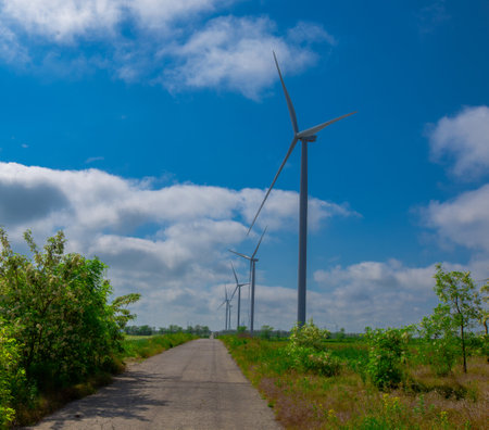 Under the blue sky with white clouds, the propeller of the green electricity generator is mounted on the side of the road in the fieldの写真素材