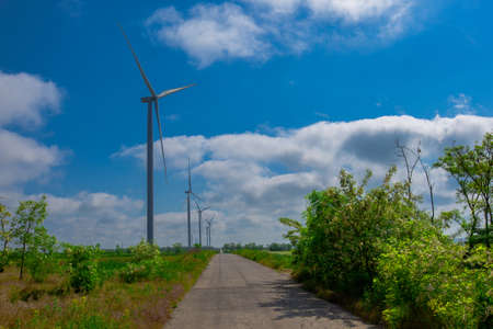 Under the blue sky with white clouds, the propeller of the green electricity generator is mounted on the side of the road in the fieldの写真素材