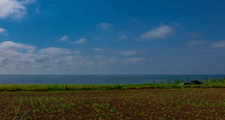 rural field by the sea and the car stopped on the roadの写真素材