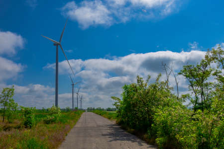 Under the blue sky with white clouds, the propeller of the green electricity generator is mounted on the side of the road in the fieldの写真素材