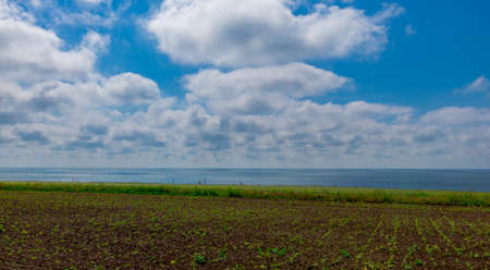 rural field by the seaの写真素材