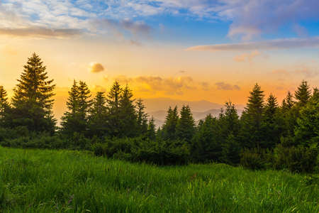 Amazing colorful sunset on Carpathian mountains, blue and yellow cloudy sky, green grass and trees.の写真素材